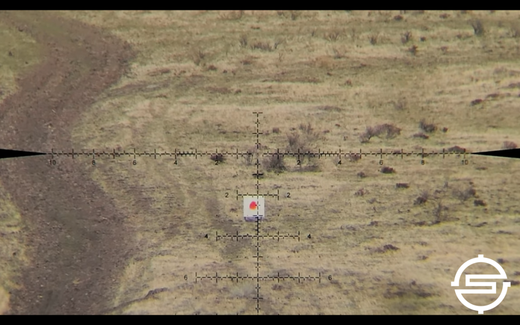 Leupold christmas tree reticle