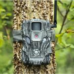 stealth fusion x review