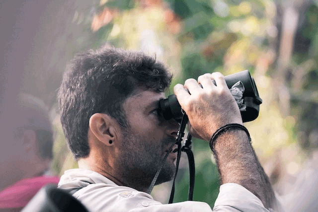 best binoculars for the money