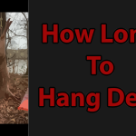 how long to hang deer