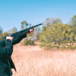 shotgun pellets long range