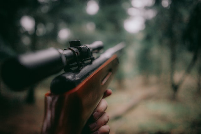 hunting close to home