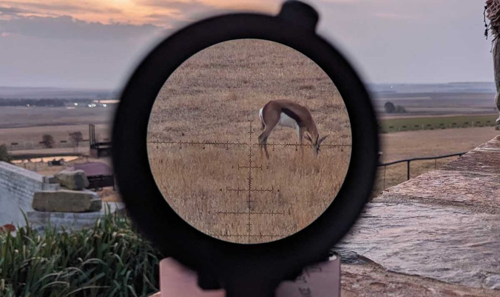 leupold scopes low light