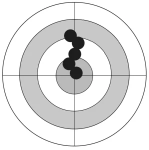 A target showing vertical stringing of shots.