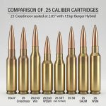 25 creedmoor vs