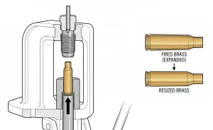resizing fired brass to reload again