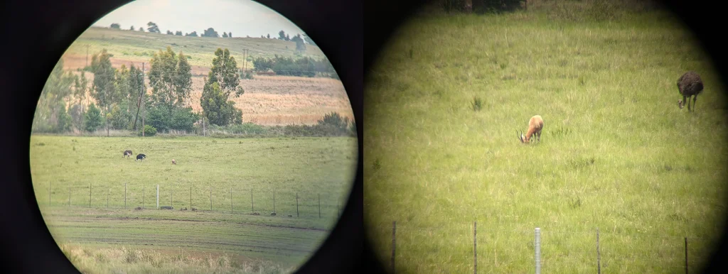 Impossible to capture optical quality with a phone bracket or camera in the field.